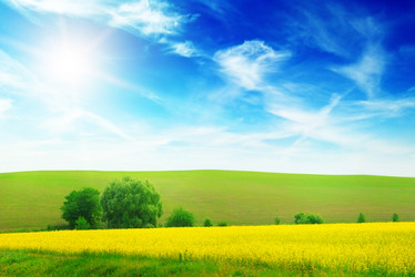 Similar image 5899397