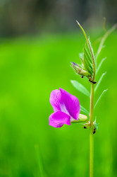 Similar image 5899574