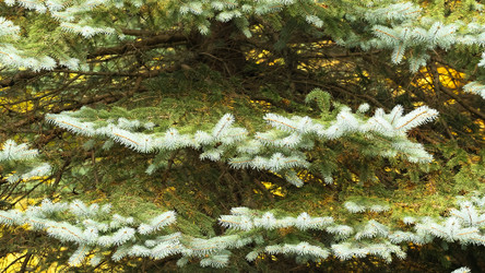 Similar image 5899720