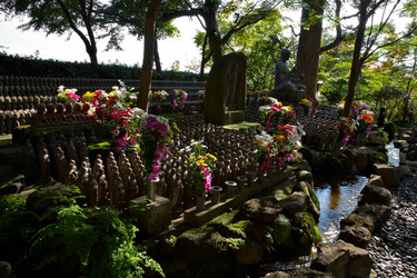 Similar image 5900606