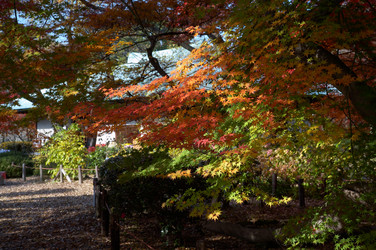 Similar image 5900638