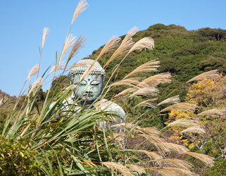 Similar image 5900671