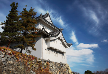 Similar image 5900684