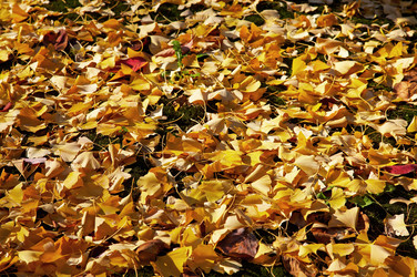 Similar image 5900694