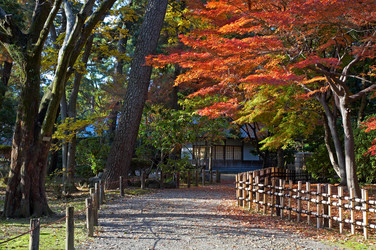 Similar image 5900697