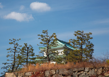 Similar image 5900710