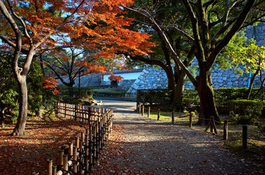 Similar image 5900715