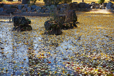 Similar image 5900728