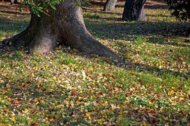 Similar image 5900733