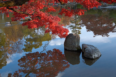 Similar image 5900734