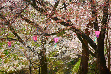 Similar image 5900737