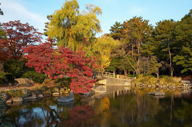 Similar image 5900739