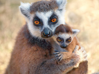 Similar image 5900741