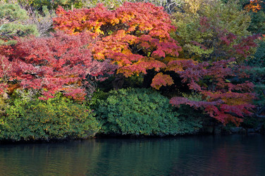 Similar image 5900746