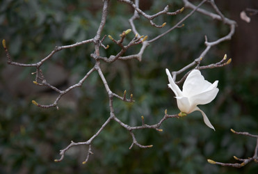 Similar image 5900754