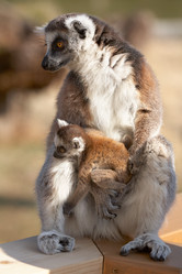 Similar image 5900756