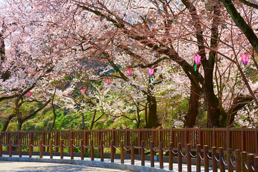 Similar image 5900758