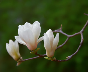 Similar image 5900759