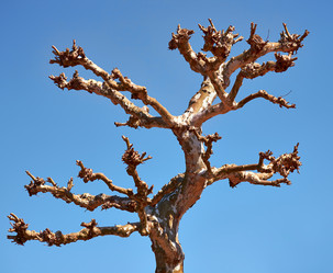 Similar image 5900763