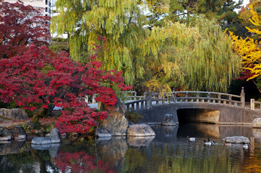 Similar image 5900765