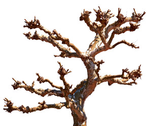 Similar image 5900769