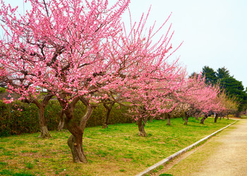 Similar image 5900775