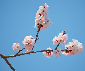 Similar image 5900777