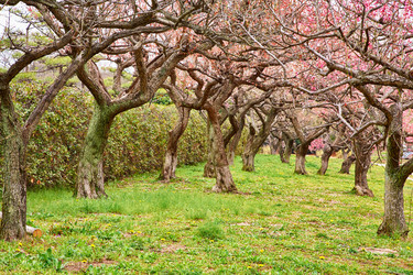 Similar image 5900778