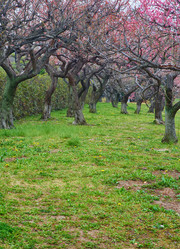 Similar image 5900779