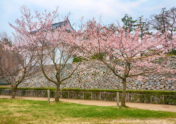 Similar image 5900780