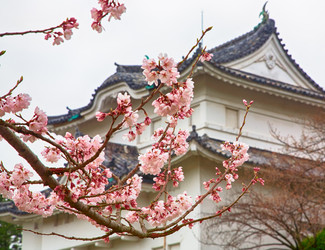 Similar image 5900782