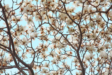 Similar image 5900783