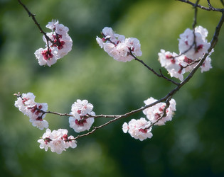 Similar image 5900784