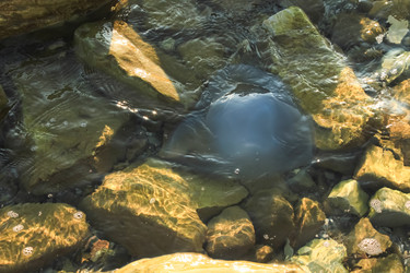 Similar image 5900861