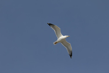 Similar image 5900863