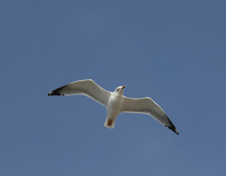 Similar image 5900927