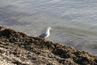 Similar image 5900929