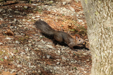 Similar image 5900941