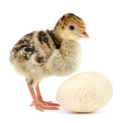 Similar image 5900991