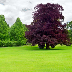 Similar image 5900993