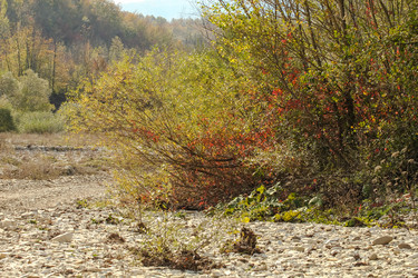 Similar image 5901003