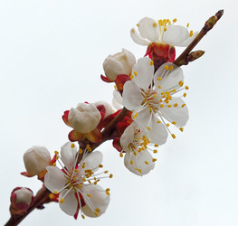 Similar image 5901020