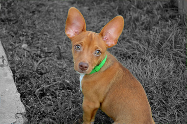 Similar image 5901021