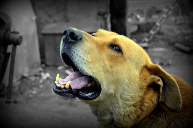 Similar image 5901022