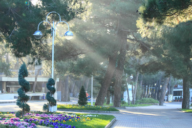 Similar image 5901091