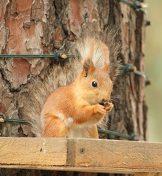 Similar image 5901096