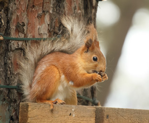 Similar image 5901097