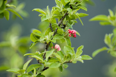 Similar image 5901100