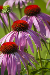 Similar image 5901179