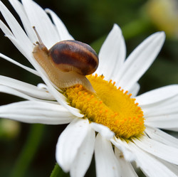 Similar image 5901320